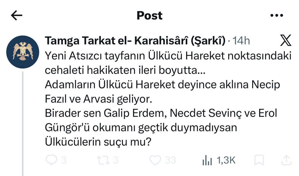 Biz bu ülkuçuların karın ağrısını iyi biliriz,Atsız arabın dinine itimat etmediği için sürekli sentezci abilerini pazarlama derdindeler,3 mayısı bile sahipleniyor adamlar(!) . Gerçek Türklerin yolu Atsızın yoludur, etnik sevici kürdeşin değil.