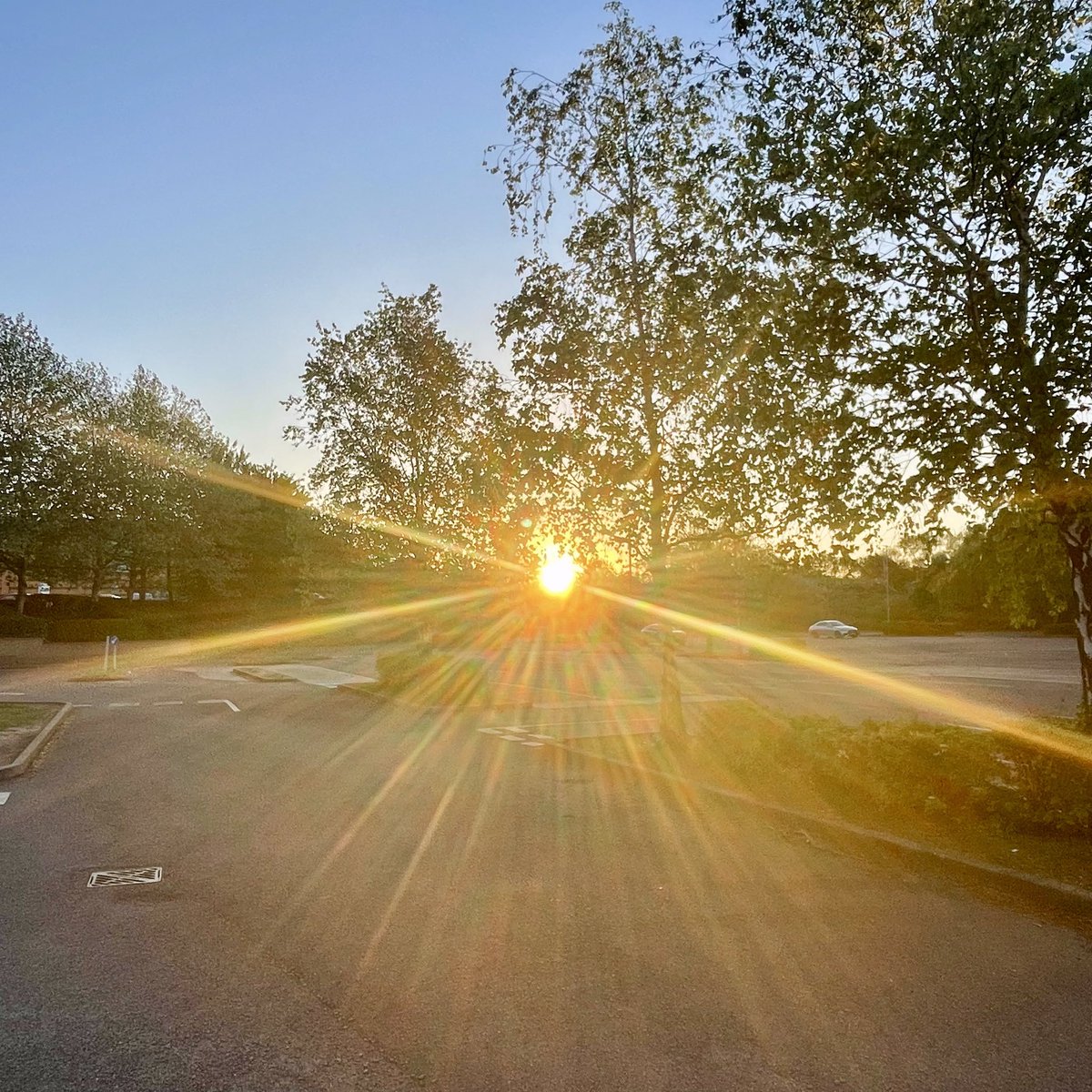 PleaseStayToday's tweet image. “Chase your sunrises, spread the love and be kind to you” 

Take care, fly well &amp;amp; thank you for the kind words, support and encouragement on here.

Interactions, love &amp;amp; positivity matters, makes a difference &amp;amp; changes lives. Kx
#positivevibes #sunrises #love #quotestoliveby
