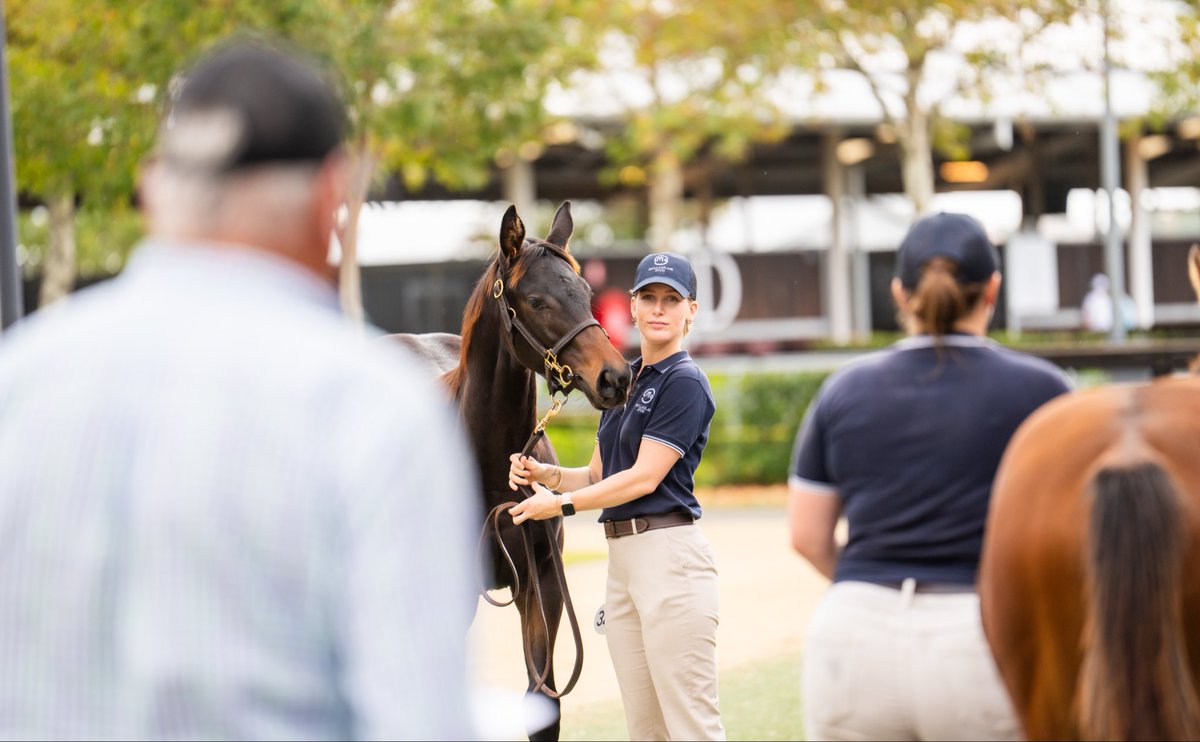 Mullaglass Stud tweet media