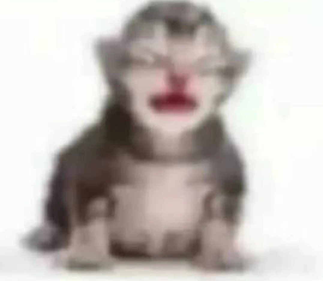 ° ✧ ᴍ𝒚𝖓𝖓 ☁️ ݁ ˖ tweet media