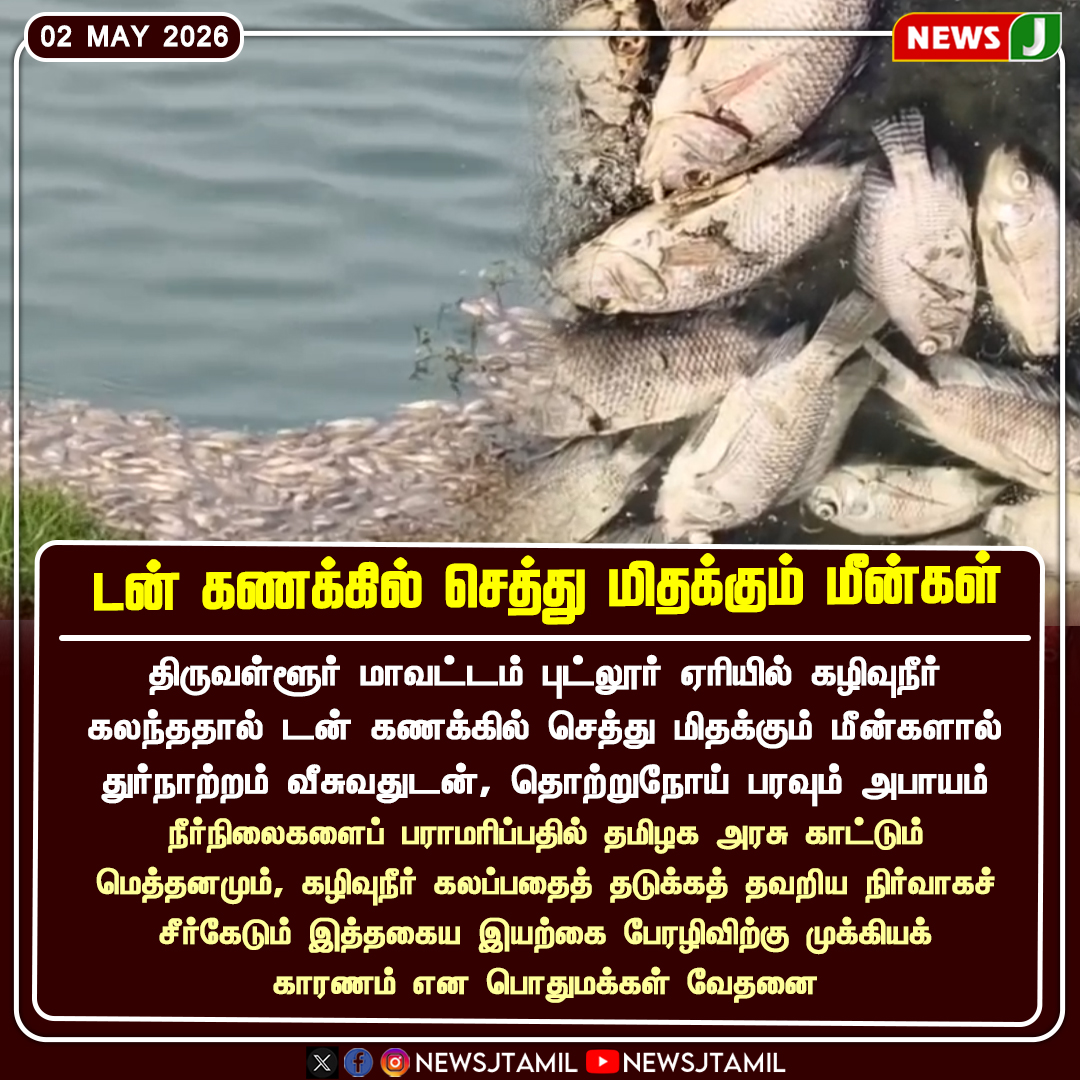 NewsJTamil's tweet image. டன் கணக்கில் செத்து மிதக்கும் மீன்கள் || NEWSJ

#Fish #Tiruvallur #Lake #Death #NewsJ