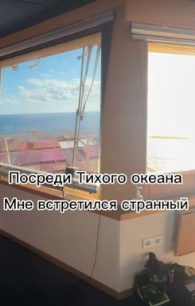 Кошкина tweet media