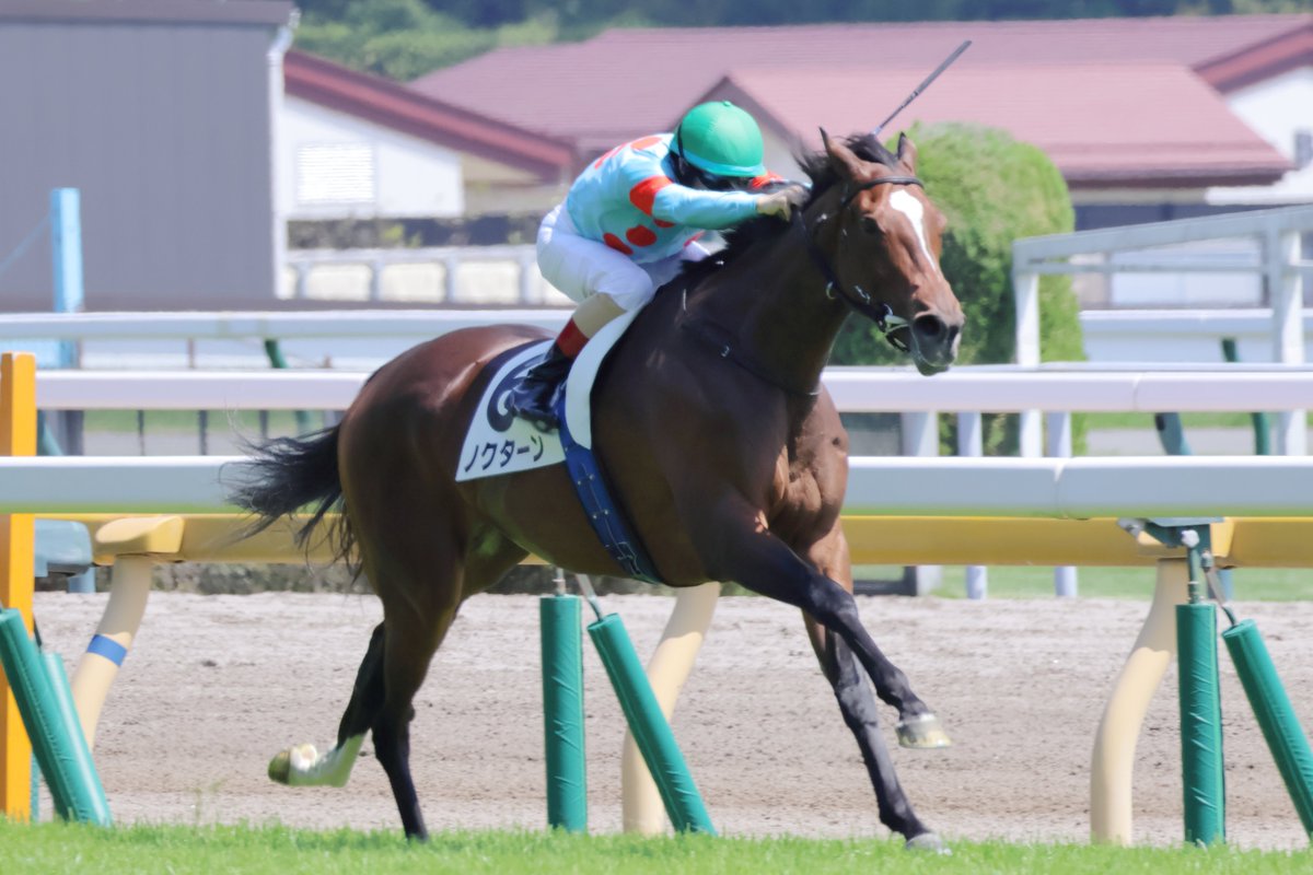 taito5's tweet photo. 東京6R 4歳以上1勝クラス
#ノクターン #ルメール https://t.co/ufwVx3at67
