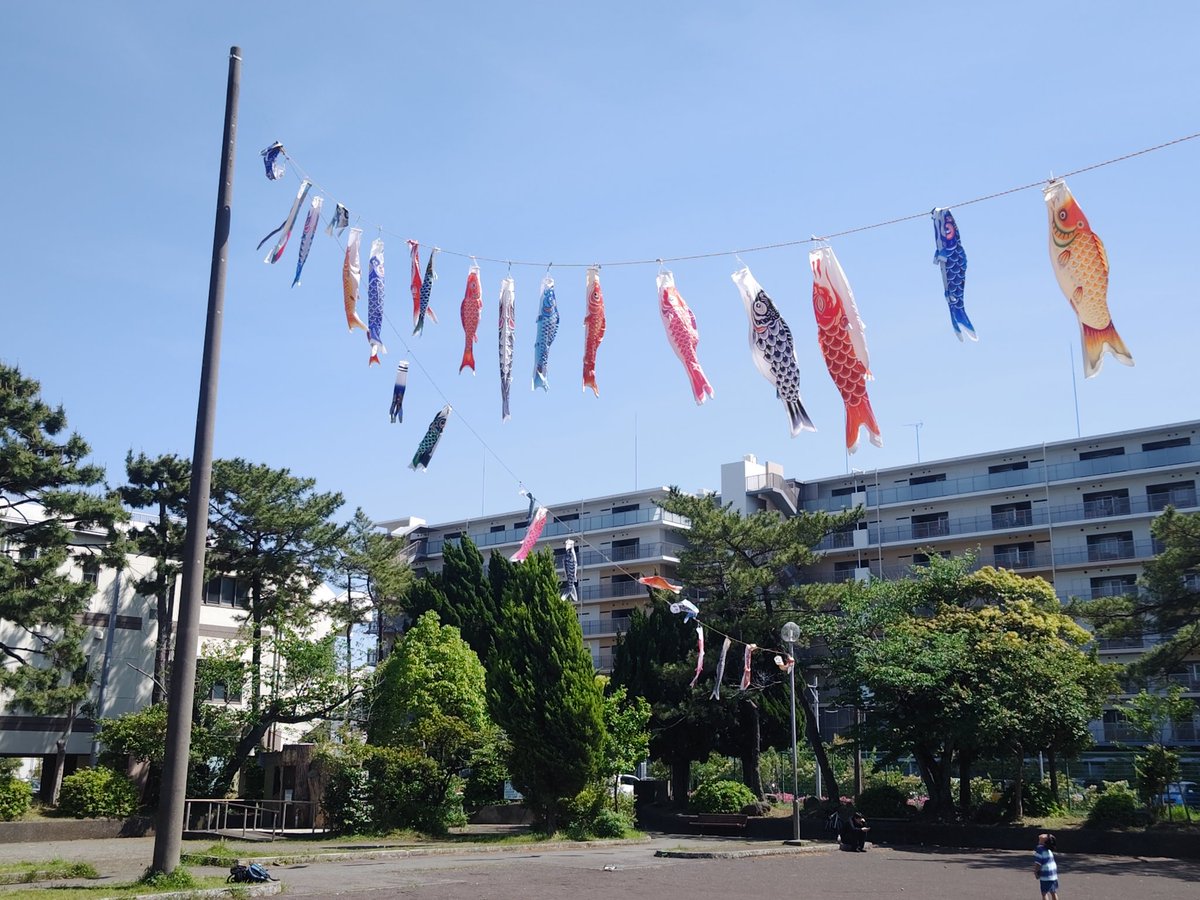 沼津こいのぼりフェスティバル tweet media