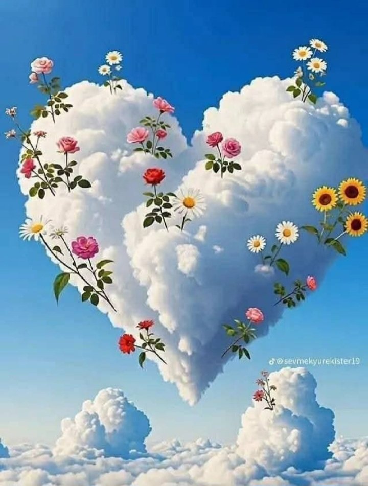 قلوب ابكاها القدر🌾 💕 أم أمل 💕🌾 tweet media