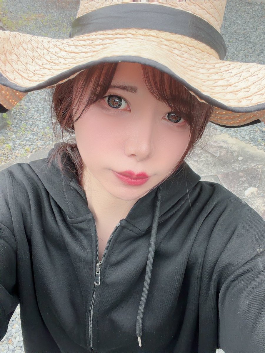 🐄 tweet media