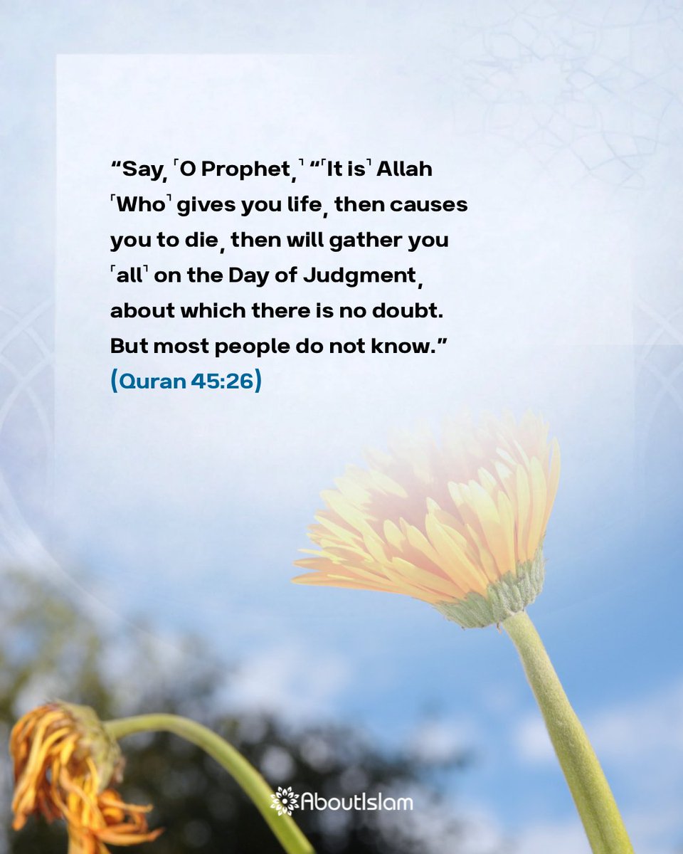 AbtIslamNet's tweet image. #Islam
#Quran