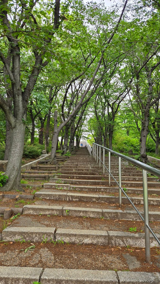 鼓 (@tsuzumi299) / Posts / X