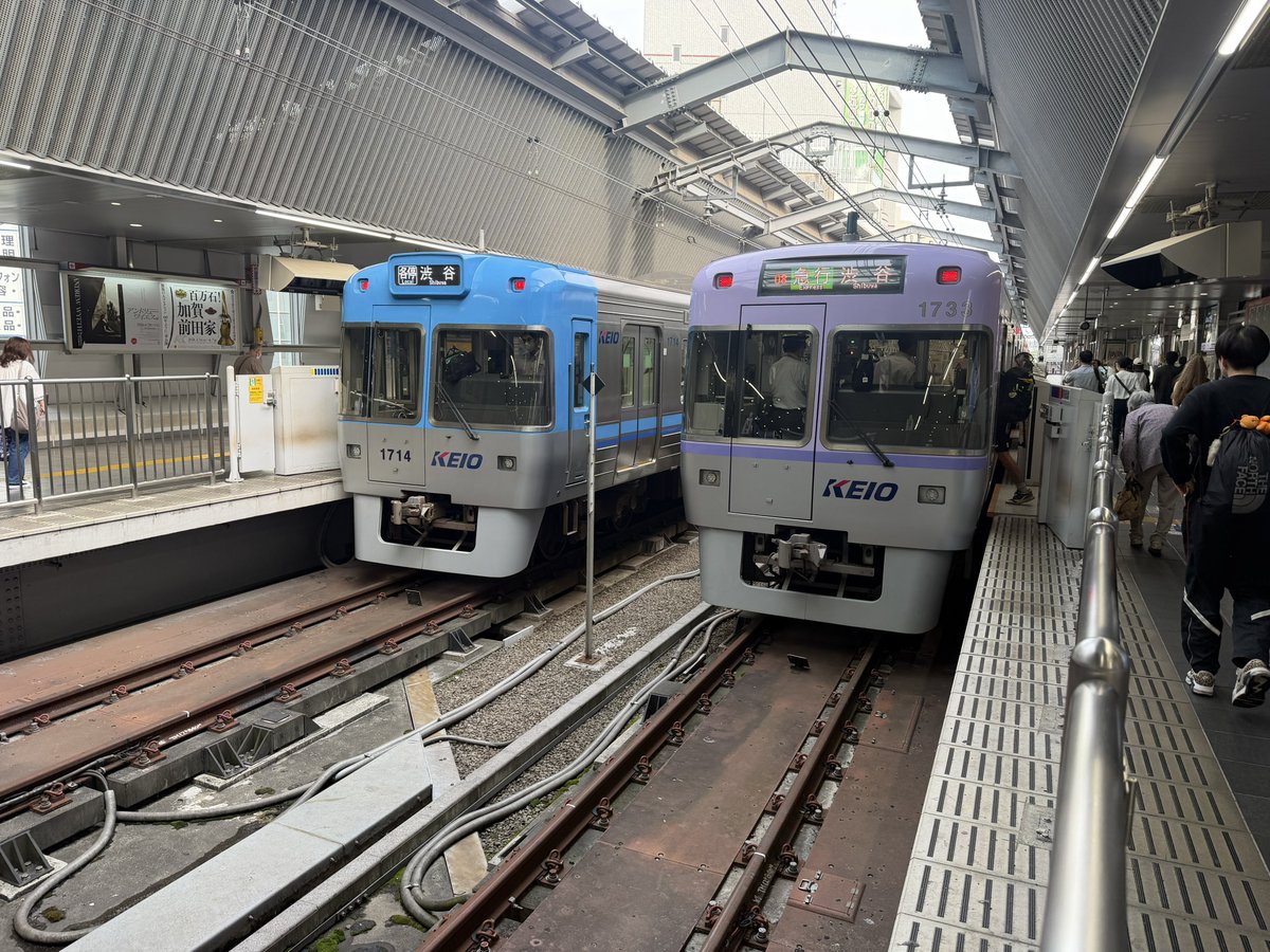 ポランザン/保嵐山 tweet media