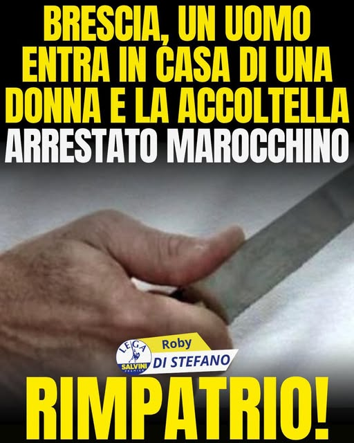 Michi tweet media