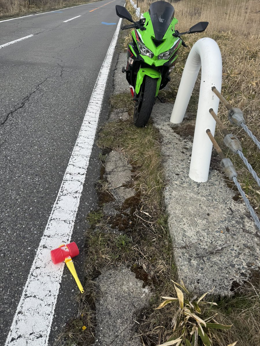 うりなすび🦗 tweet media