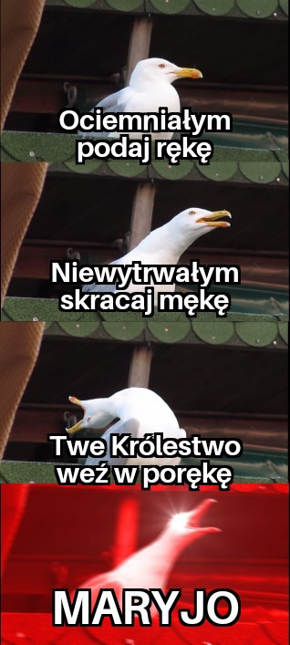 Animowany Bonapartysta tweet media