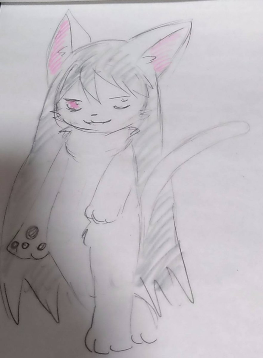 アクアウルフミュージアム🔔🐺 tweet media