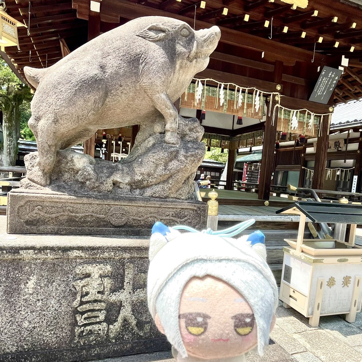 marnuinui's tweet photo. 観光してきたよ⭐︎ https://t.co/6FtJexyttF