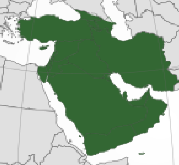 الفارس tweet media