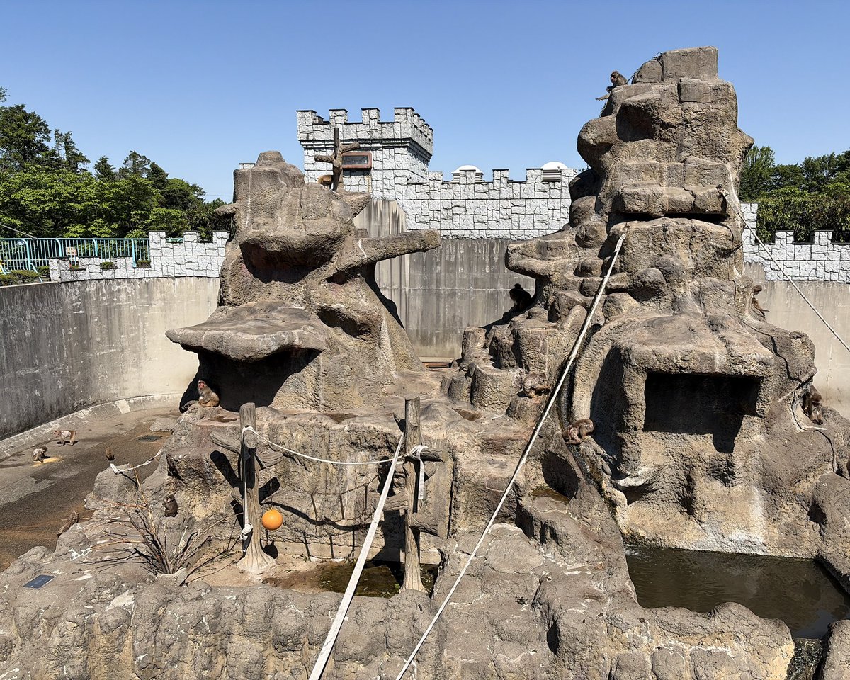市川市動植物園（公式） tweet media