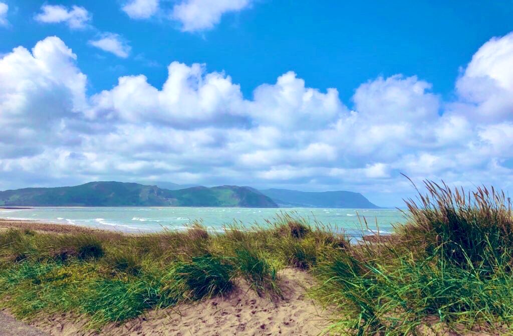 Dear Lord, thank you for the gift of a new day. May all that I do today be done with love and for your glory. #MorningPrayer