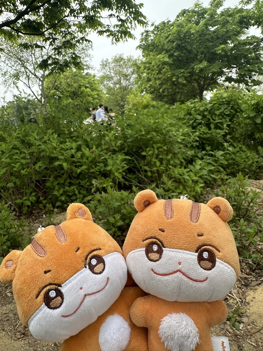 몽길 tweet media