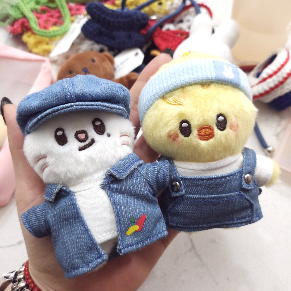 찐욤 tweet media