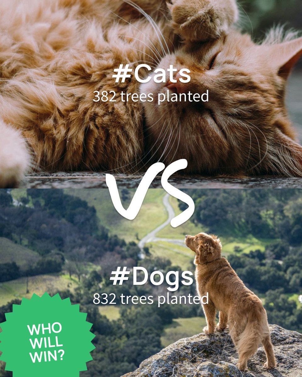 Tree-Nation tweet media