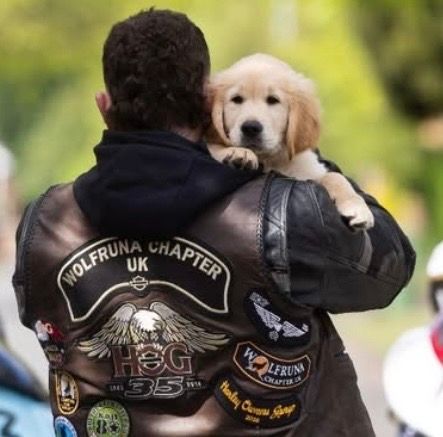 chorleyguidedog's tweet image. Our puppies have to experience many different sounds, sights and smells.  Guide Dogs are grateful to the Harley Owners Group for turning up to provide gentle exposure to motorbikes for this little puppy!

#Chorley #GuideDogsUK #GuideDogs #GuideDogsForTheBlind