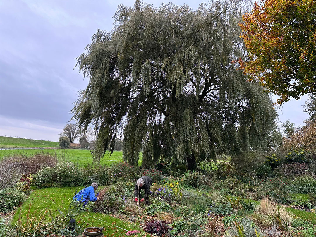 Lente in de lucht: word tuinvrijwilliger en maak het verschil buiten

Het is lente en overal komt het groen weer tot leven. Tuinen groeien en bloeien, maar vr...

westfrieskrant.nl/ondernemen/len…

#Ondernemen