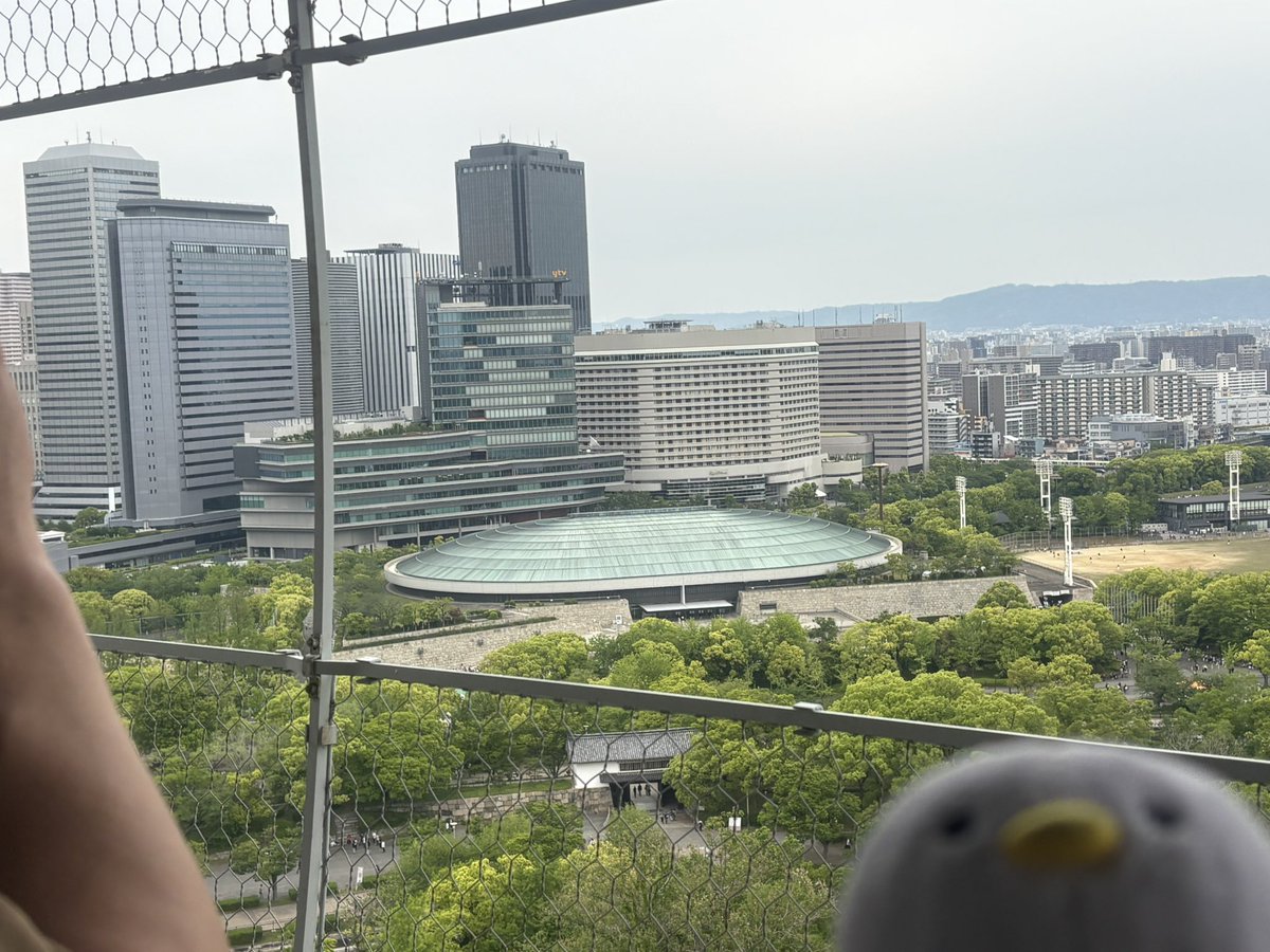 もちぴょん tweet media