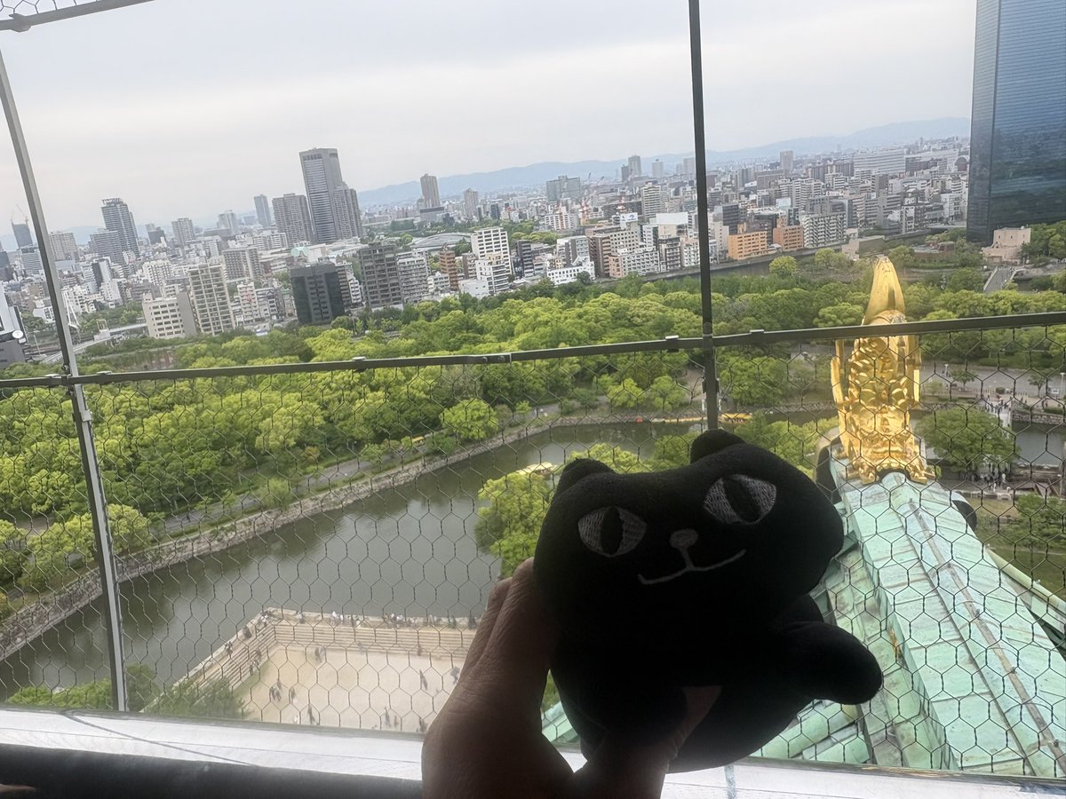 もちぴょん tweet media