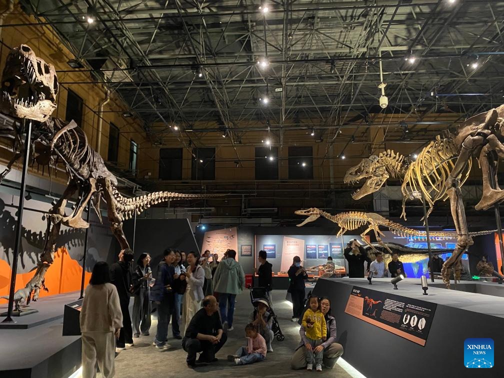 VoiceofPD's tweet image. "King of Dinosaurs" visiting Beijing in historic Chinese mainland debut

The "king of the #dinosaurs" has arrived in #Beijing. Notably, it didn't come alone.

"A Special Exhibition for the King of Dinosaurs," a blockbuster event that pairs two authentic Tyrannosaurus rex (T-rex)