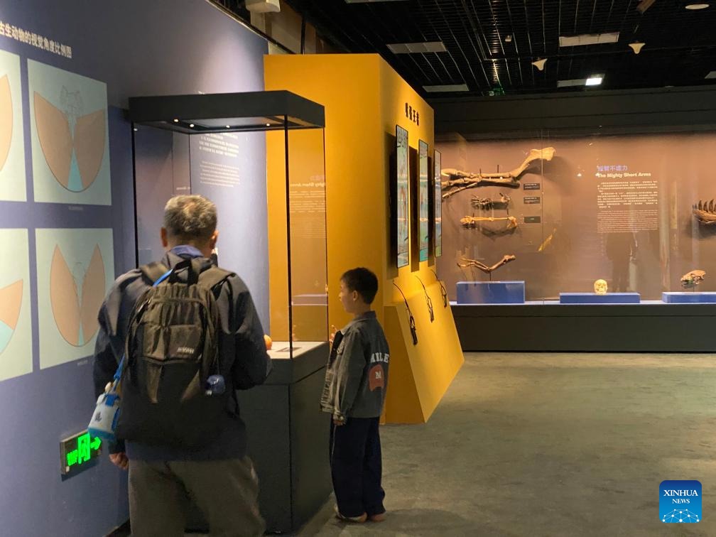 VoiceofPD's tweet image. "King of Dinosaurs" visiting Beijing in historic Chinese mainland debut

The "king of the #dinosaurs" has arrived in #Beijing. Notably, it didn't come alone.

"A Special Exhibition for the King of Dinosaurs," a blockbuster event that pairs two authentic Tyrannosaurus rex (T-rex)