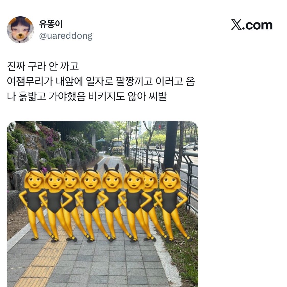 끼리따왕!! tweet media