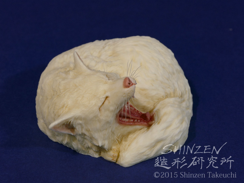 shinzen_sl's tweet photo. 粘土でいきものフィギュア作ってます。

#ゴールデンウィークSNS展覧会2026 https://t.co/5wDKZyvcsY