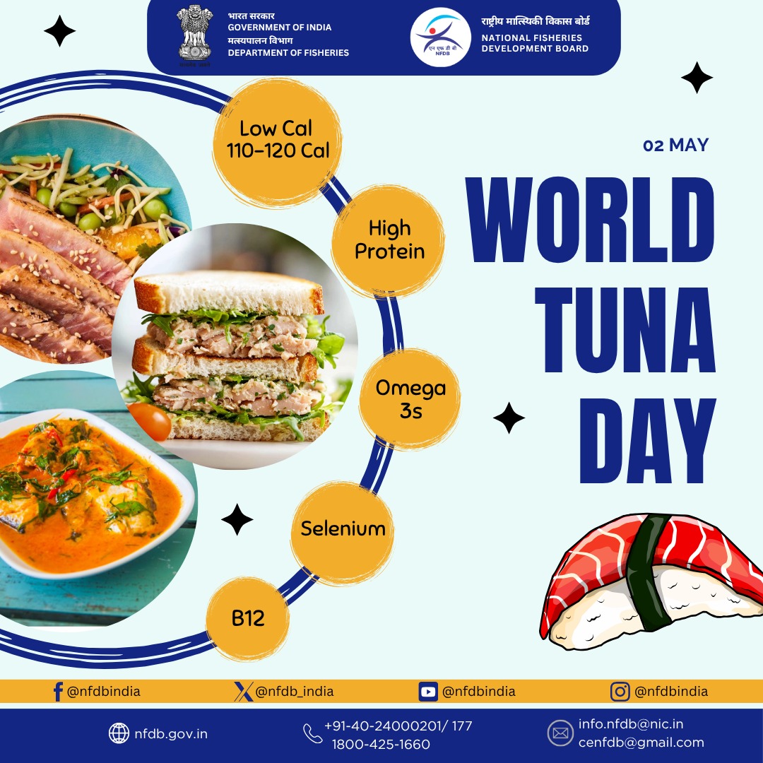 nfdb_india's tweet image. Tuna for the win 🐟💪  
Low-cal, low-fat, zero carbs. Just 110-120 cal + 23-27g protein per 100g canned light tuna in water.  
Packed with Omega-3s for your heart 🫀, B12 for energy ⚡, and selenium for immunity.  
High protein, no BS. #Nutrition #HealthyEating #Tuna
