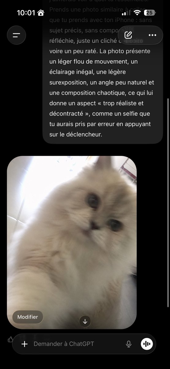MangoMan🥭 tweet media