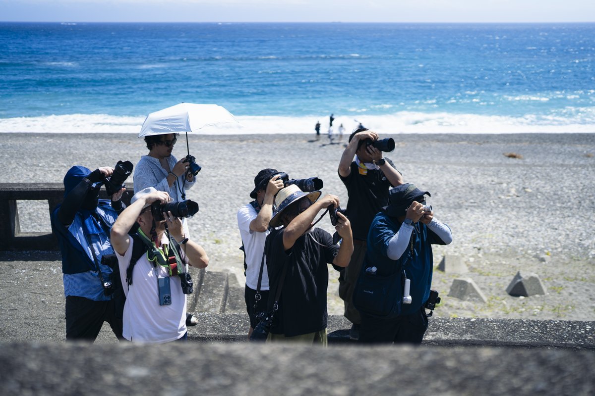 ヒロカメ tweet media