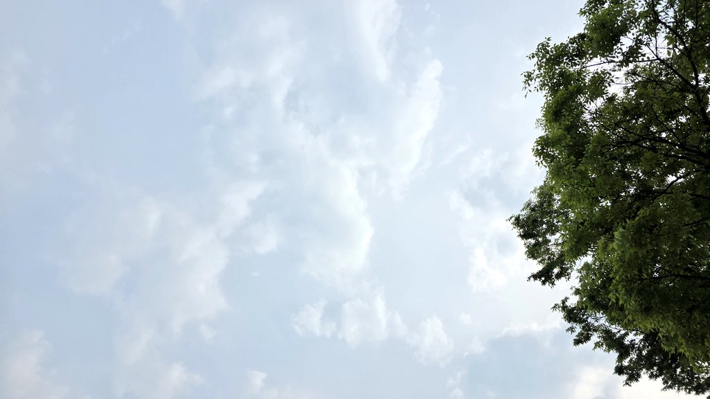 Peacism's tweet image. #Moving #Weekend ❤️ 
긍정을 믿습니다! ❤ #Korea #여주휴게소 #Sky #Landscape #Food #긍정 #믿다 #Love #Always #Memory #Remember #Moment #Believe #S2 #With #함께 #고마워요 #기억 #순간 #생각 #다잘될거야 #GoodLuck #힘내자 #사랑 #청춘 #열정 #도전 #봄