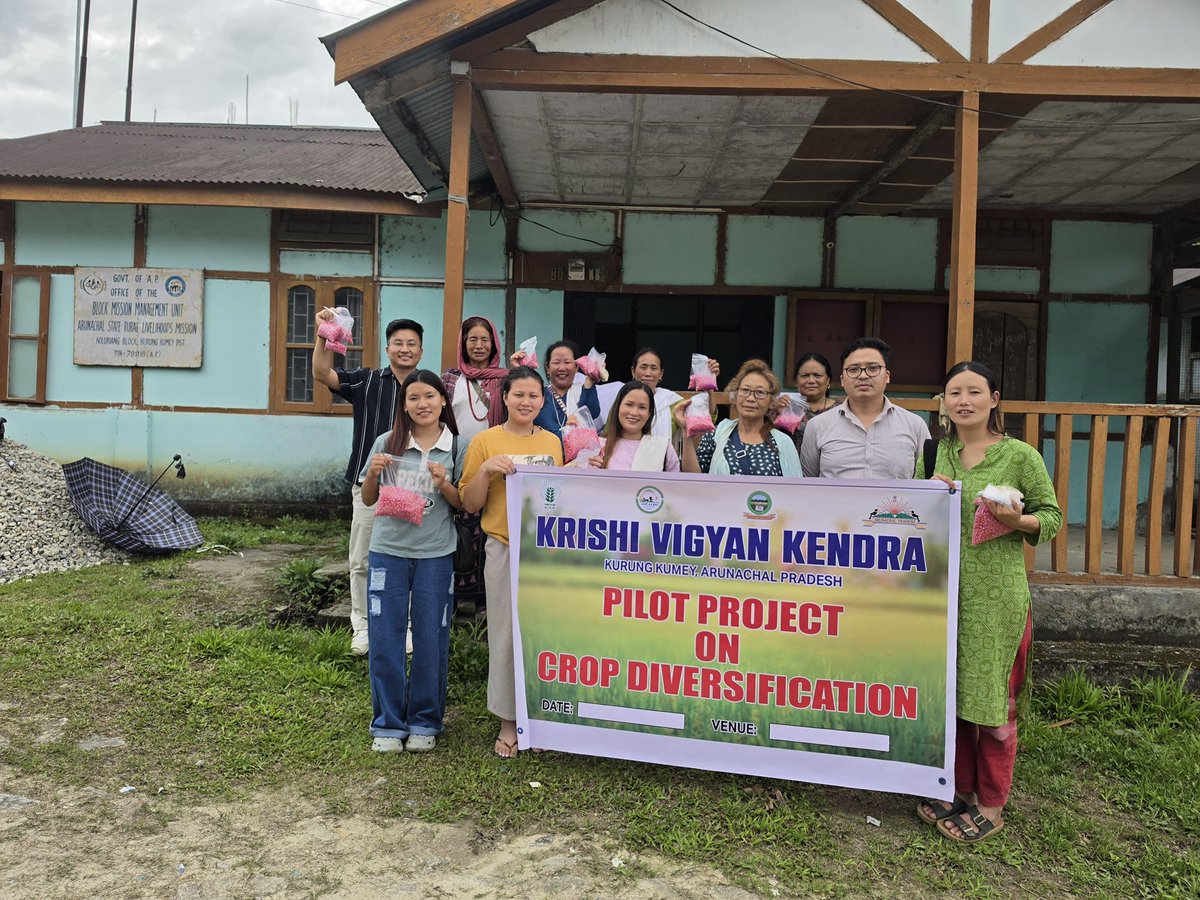 MyGovArunachal's tweet image. KVK Kurung Kumey distributed popcorn maize &amp;amp; improved sorghum varieties (CSV-15, CSV-17, C-43) across Sangram, Nyapin, Koloriang, and Sarli under a pilot crop diversification project. The initiative aims to enhance productivity &amp;amp; promote diversified farming.

 #SustainableFarming