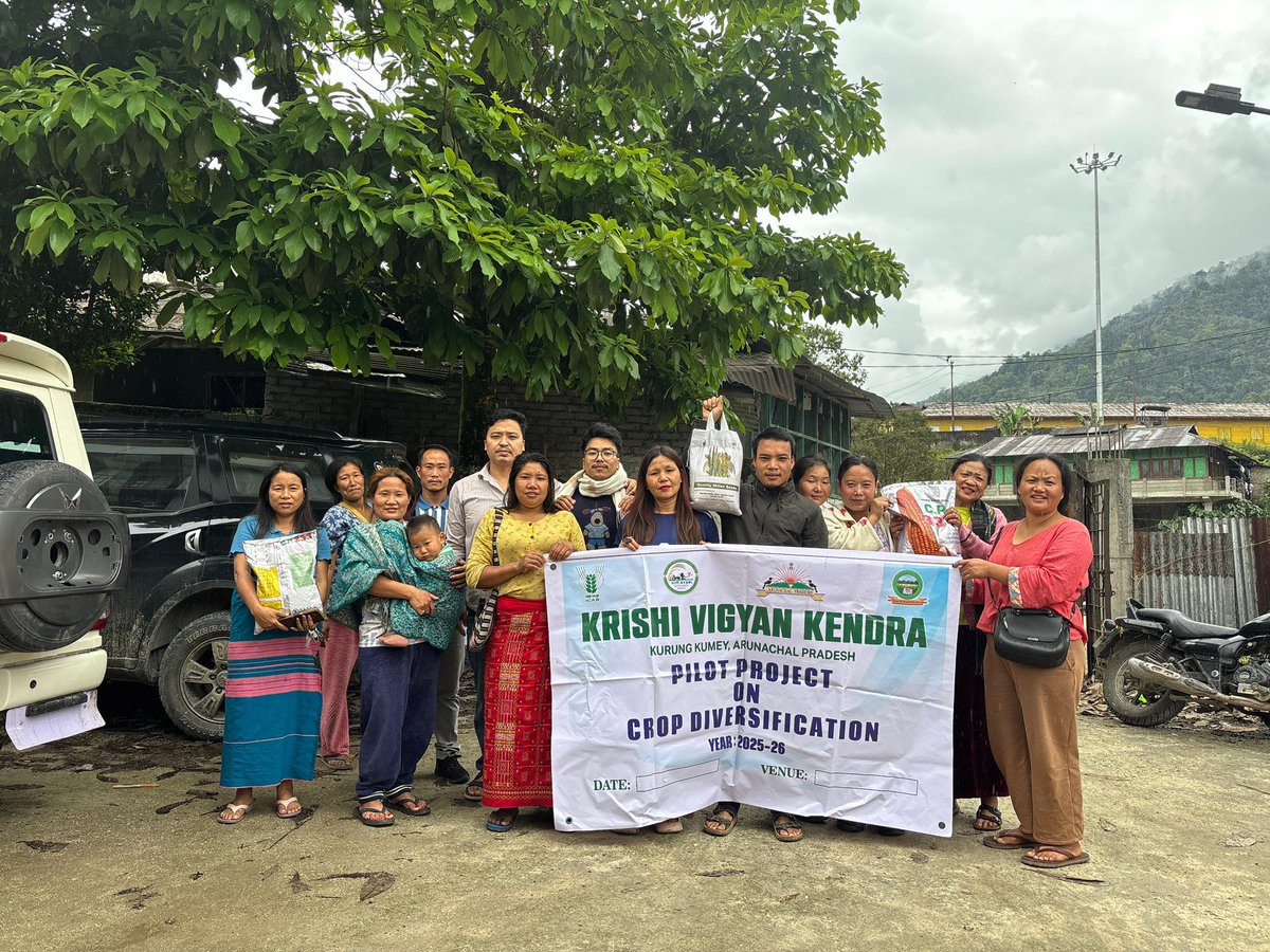 MyGovArunachal's tweet image. KVK Kurung Kumey distributed popcorn maize &amp;amp; improved sorghum varieties (CSV-15, CSV-17, C-43) across Sangram, Nyapin, Koloriang, and Sarli under a pilot crop diversification project. The initiative aims to enhance productivity &amp;amp; promote diversified farming.

 #SustainableFarming