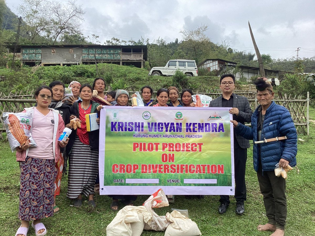 MyGovArunachal's tweet image. KVK Kurung Kumey distributed popcorn maize &amp;amp; improved sorghum varieties (CSV-15, CSV-17, C-43) across Sangram, Nyapin, Koloriang, and Sarli under a pilot crop diversification project. The initiative aims to enhance productivity &amp;amp; promote diversified farming.

 #SustainableFarming