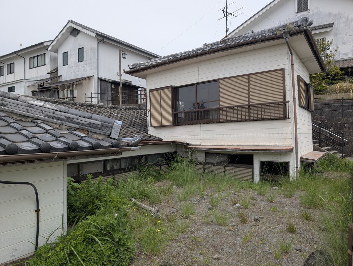 秋 tweet media