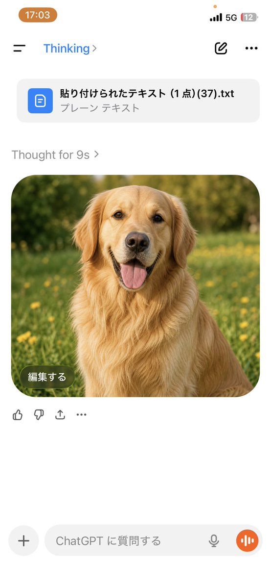 鈴木 雄大 | RIATIS Sports Inc. tweet media