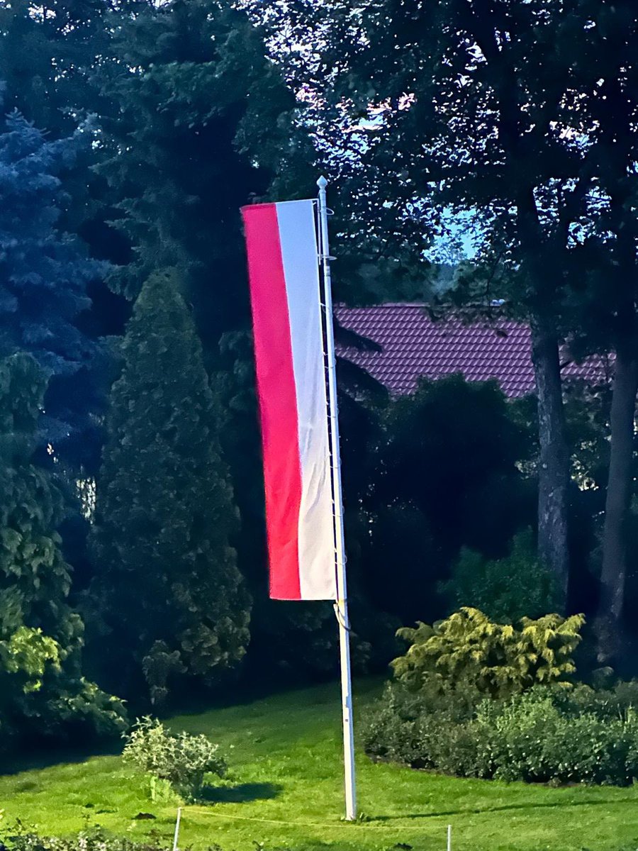 Katarzyna Sójka tweet media