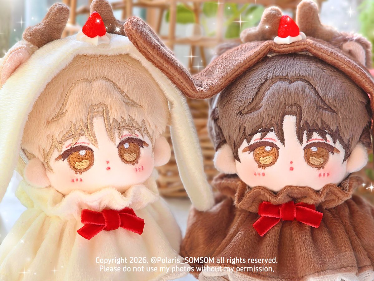 Polaris🧸 tweet media