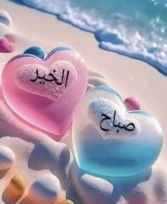 لؤلؤة السوداء❤️رابية tweet media