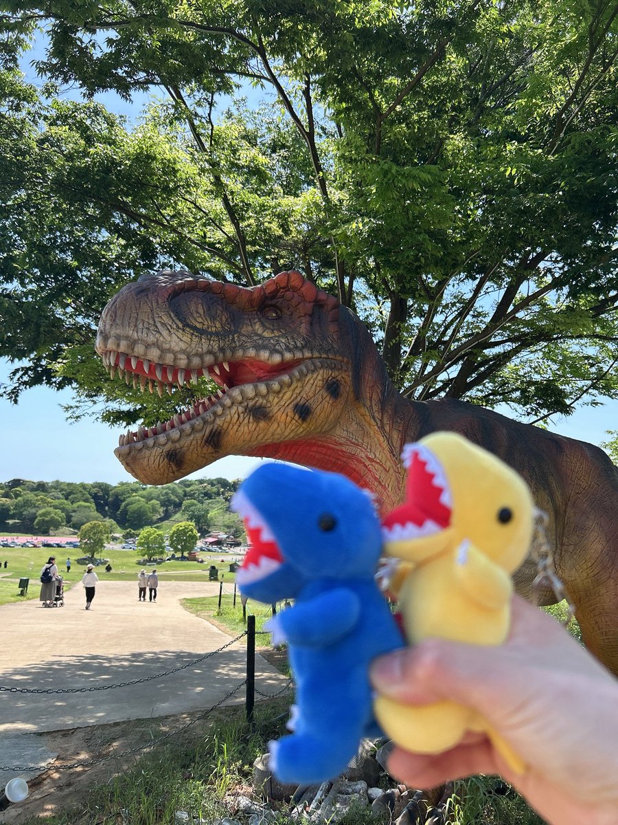ぺいしゃん🐧 tweet media