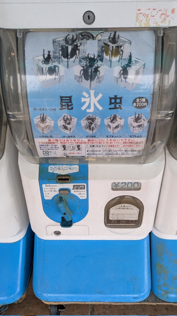 みき tweet media