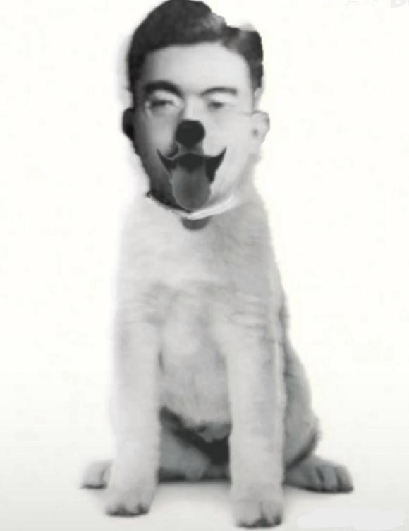 kyo_xj4 tweet media