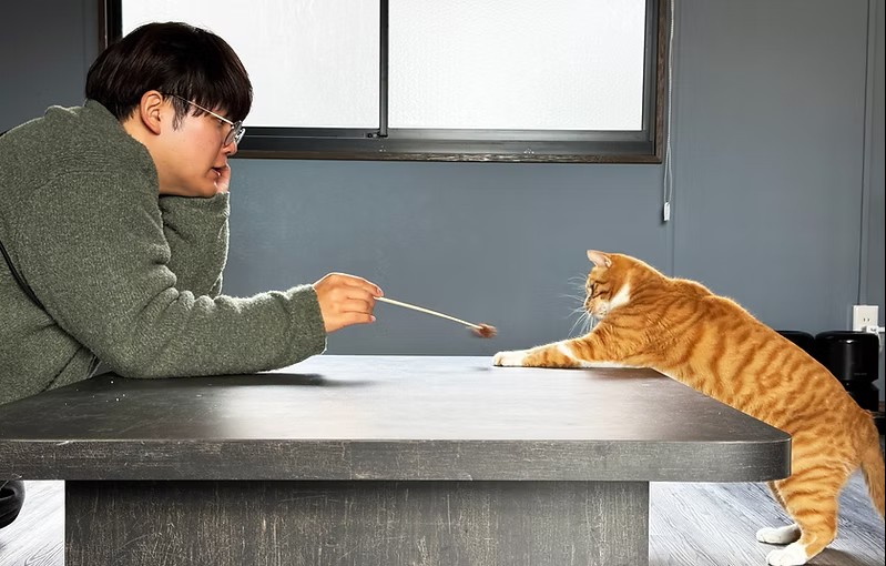 rikutaka_kankou's tweet photo. 陸前高田に「保護猫カフェ」が誕生🐾
【本日保護猫カフェのオープン日】に行ってきました！
保護猫カフェと猫雑貨専門店が併設された「one scene.」で、木の温もりに包まれ、可愛い猫さんに最高に癒されました。
✅60分入れ替え制✅LINE・電話で予約受付中
#onescene #保護猫カフェ #陸前高田 https://t.co/A2dm8d7Ii7