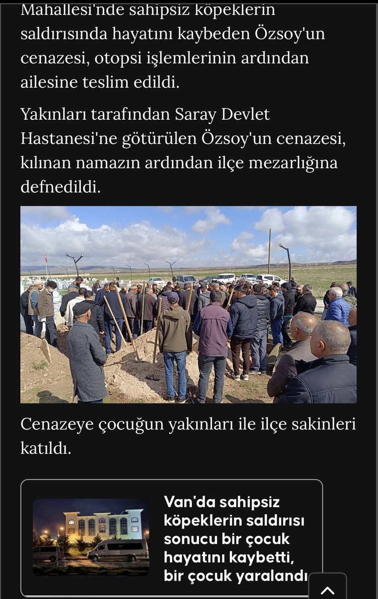 Prof.Dr. Nilüfer Sabuncuoğlu tweet media