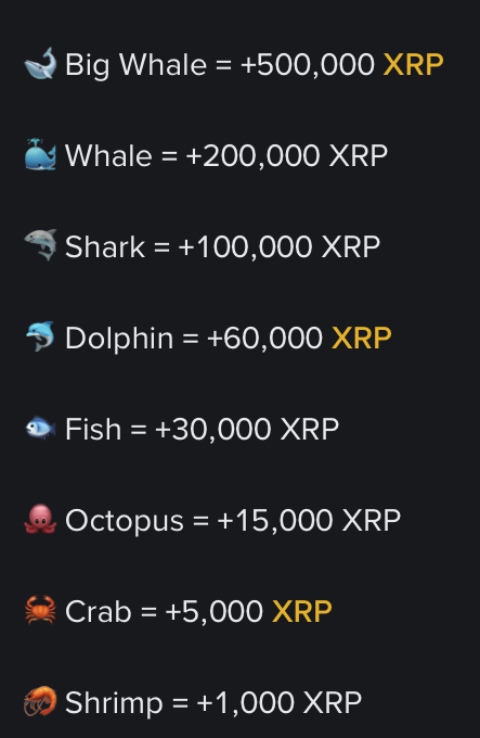 XRP NEWS FFDK tweet media